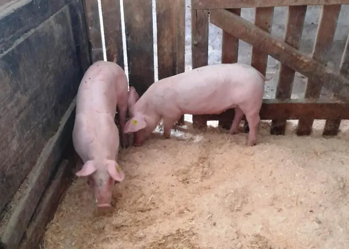 Gospodarstwo agroturystyczne Prechtlhof In Flachau