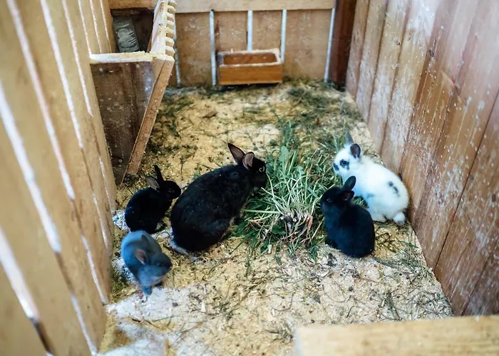 Prechtlhof In Gospodarstwo agroturystyczne Flachau