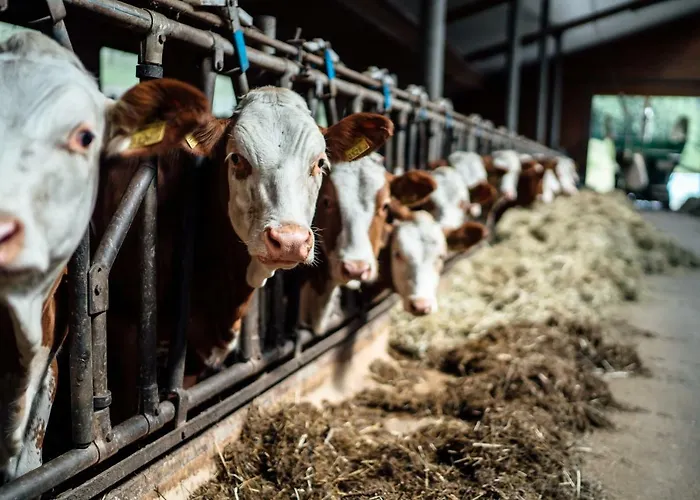 Prechtlhof In Gospodarstwo agroturystyczne *